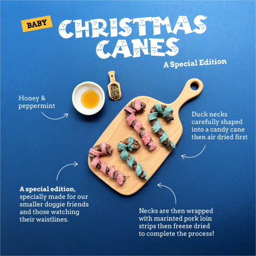 Christmas Signature: Baby Christmas Canes - Image 2