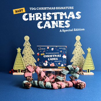 Christmas Signature: Baby Christmas Canes