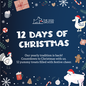 Twelve Days of Christmas