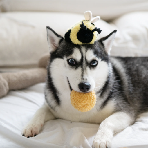 Bee Pop - Image 3