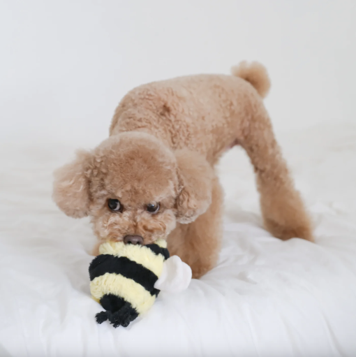 Bee Pop - Image 4
