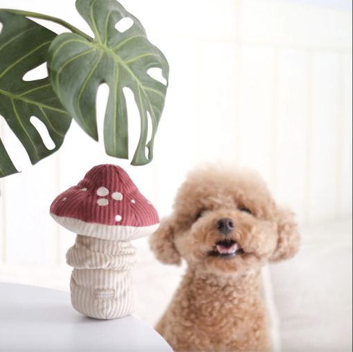 Shroom - Image 4