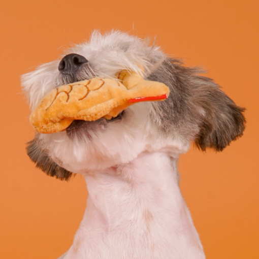Korean Fish Pastry Friends Toy - Image 4