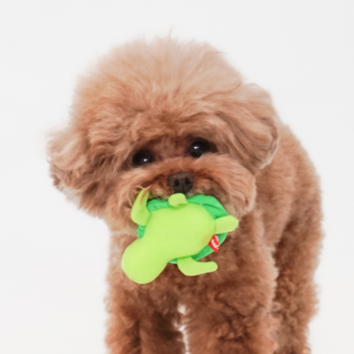 Turtle Friends Toy - Image 3