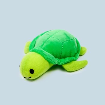 Turtle Friends Toy