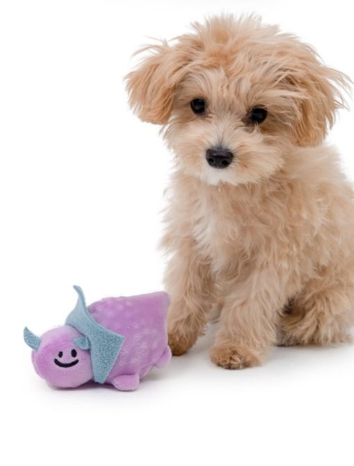 Purple Dinosuar Catch Toy - Image 3
