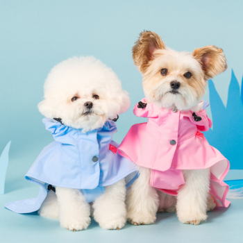 Hello Kitty Easy Wear Raincoat - Blue