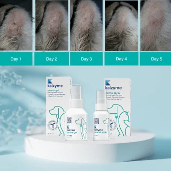 Kalzyme Derma Care Series