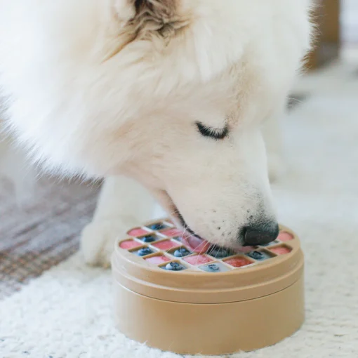3 in 1 Bento Feeder (Lickmat + Slow Feeder) - Image 4