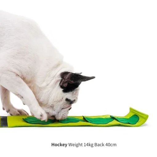 Broccoli Nosework Toy - Image 5