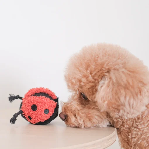 Mini Ladybug Pop - Image 3