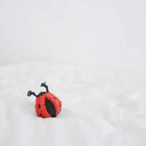 Mini Ladybug Pop - Image 2