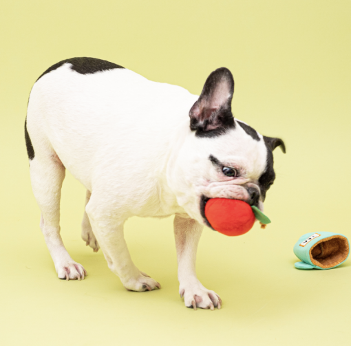 Apple Tea Catch Toy - Image 4