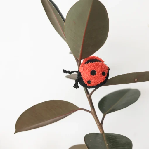 Mini Ladybug Pop - Image 4