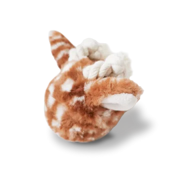 Fawn Pop
