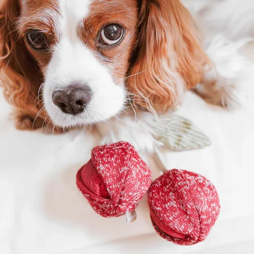 Cherry Pop - Image 4