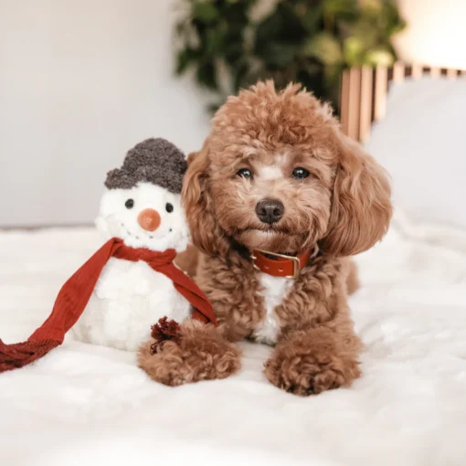 Snowman - Image 2