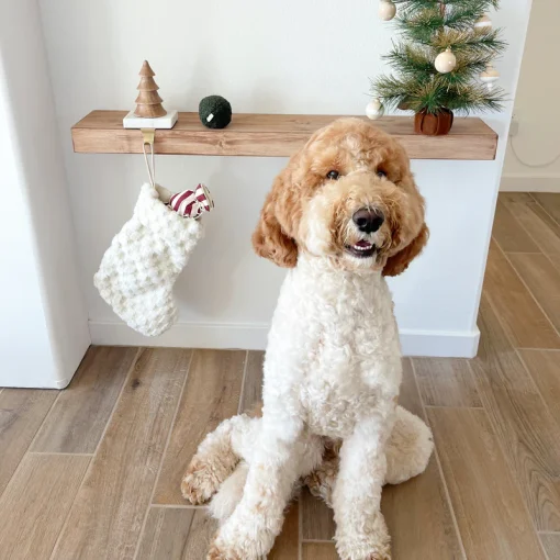 Christmas Stocking Set - Image 2