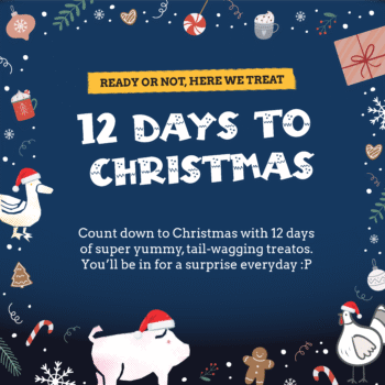 Twelve Days to Christmas