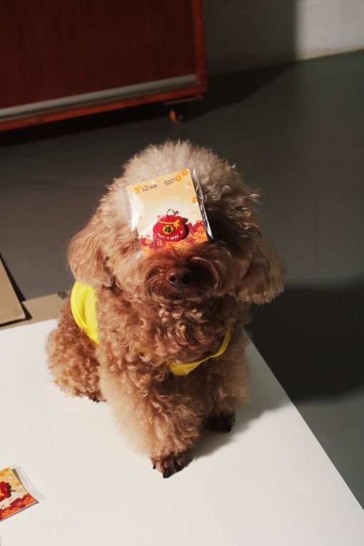 Huat is Here Fortune Bag Charm - Image 2