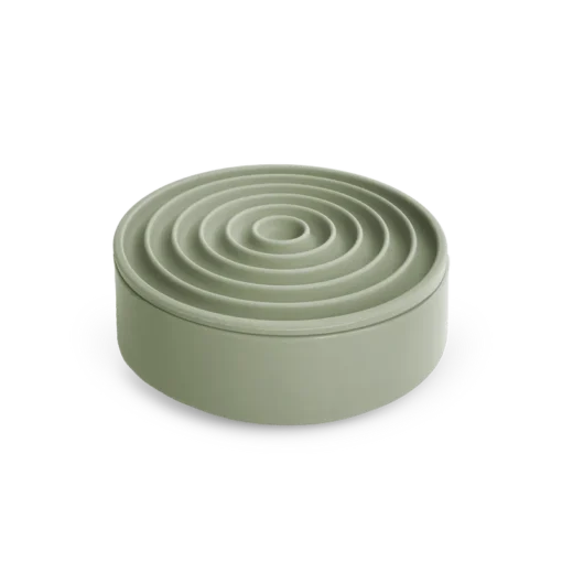 3 in 1 Bento Feeder (Fern)