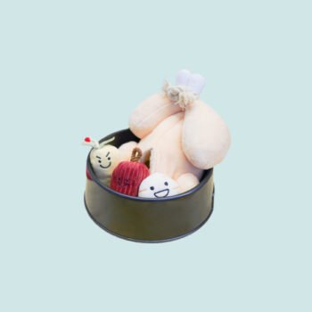 Korean Gingseng Chicken Soup Toy