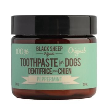 Peppermint Toothpaste