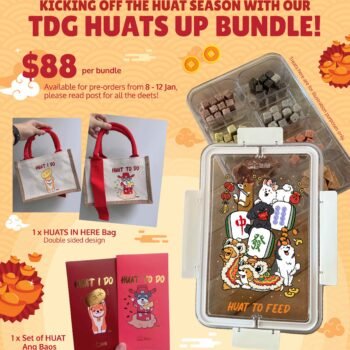 HUATS UP Bundle