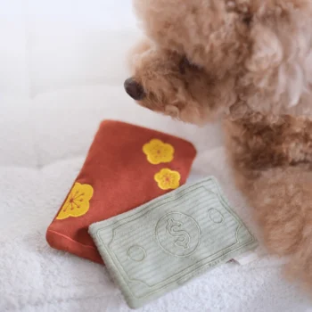 Alternative view of Red Packet