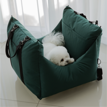 Sporty Car Seat