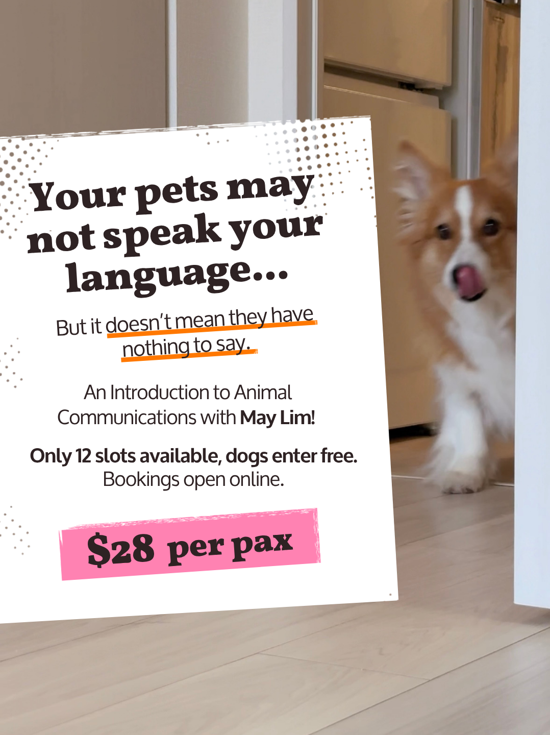 Introduction to Animal Communications with May Lim