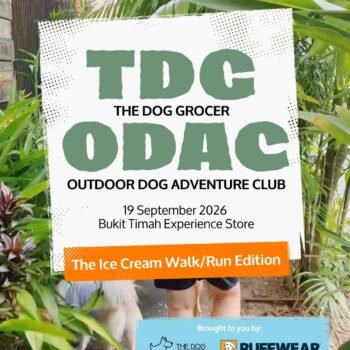 TDG ODAC - Ice Cream Run