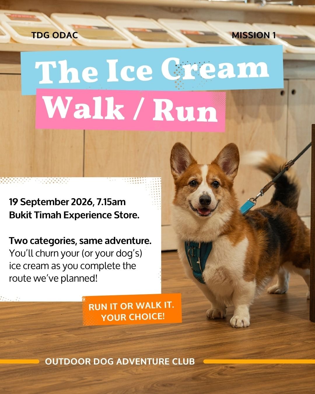 TDG ODAC - Ice Cream Run - Image 2